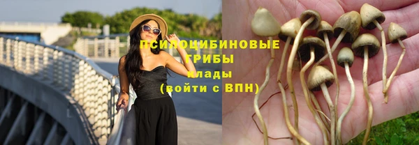 эйфоретик Армянск