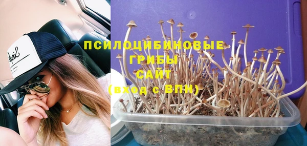 прущие крисы Арсеньев