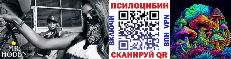 Купить где  Тырныауз  Псилоцибиновые грибы ЛСД 