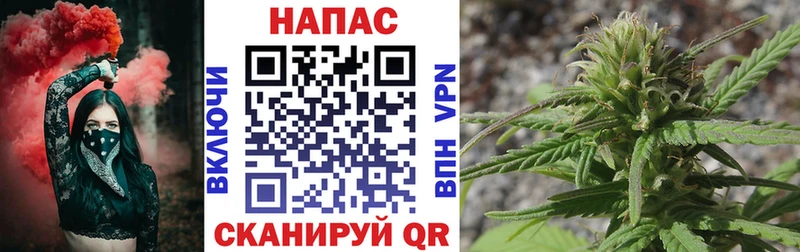 Шишки марихуана сатива  Купить закладки  Тырныауз 